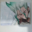 Dr. Stone Senku Ishigami Anime Dakimakura Body Pillow Case Cover