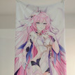 Honkai Impact 3rd Elysia Anime Dakimakura Body Pillow Case Cover