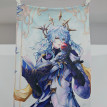 Honkai: Star Rail Sunday Anime Dakimakura Body Pillow Case Cover 02
